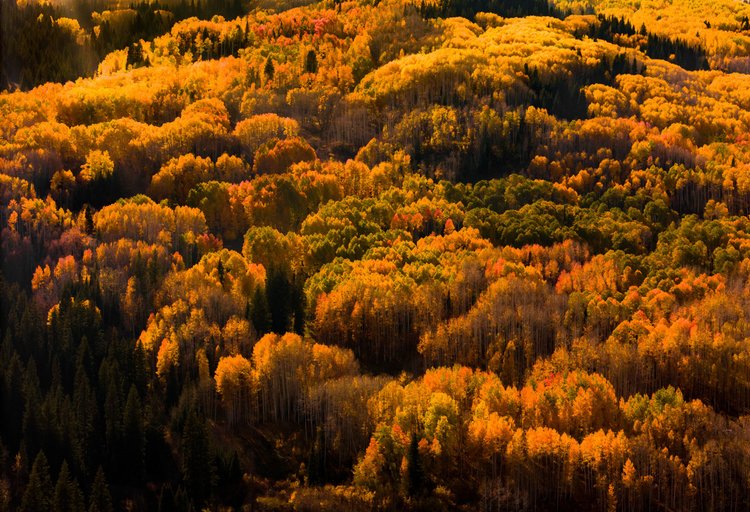 Earth photography
