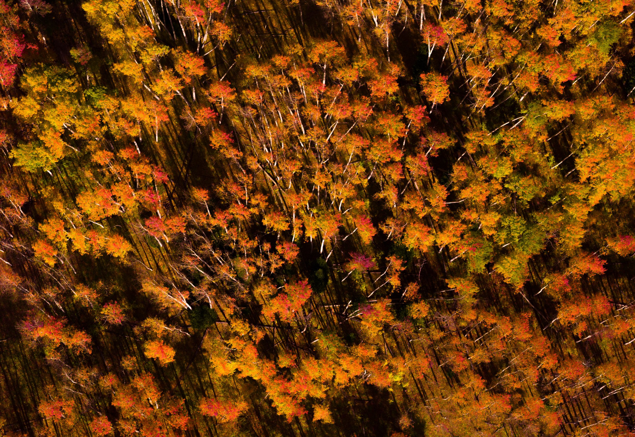 Earth photography
