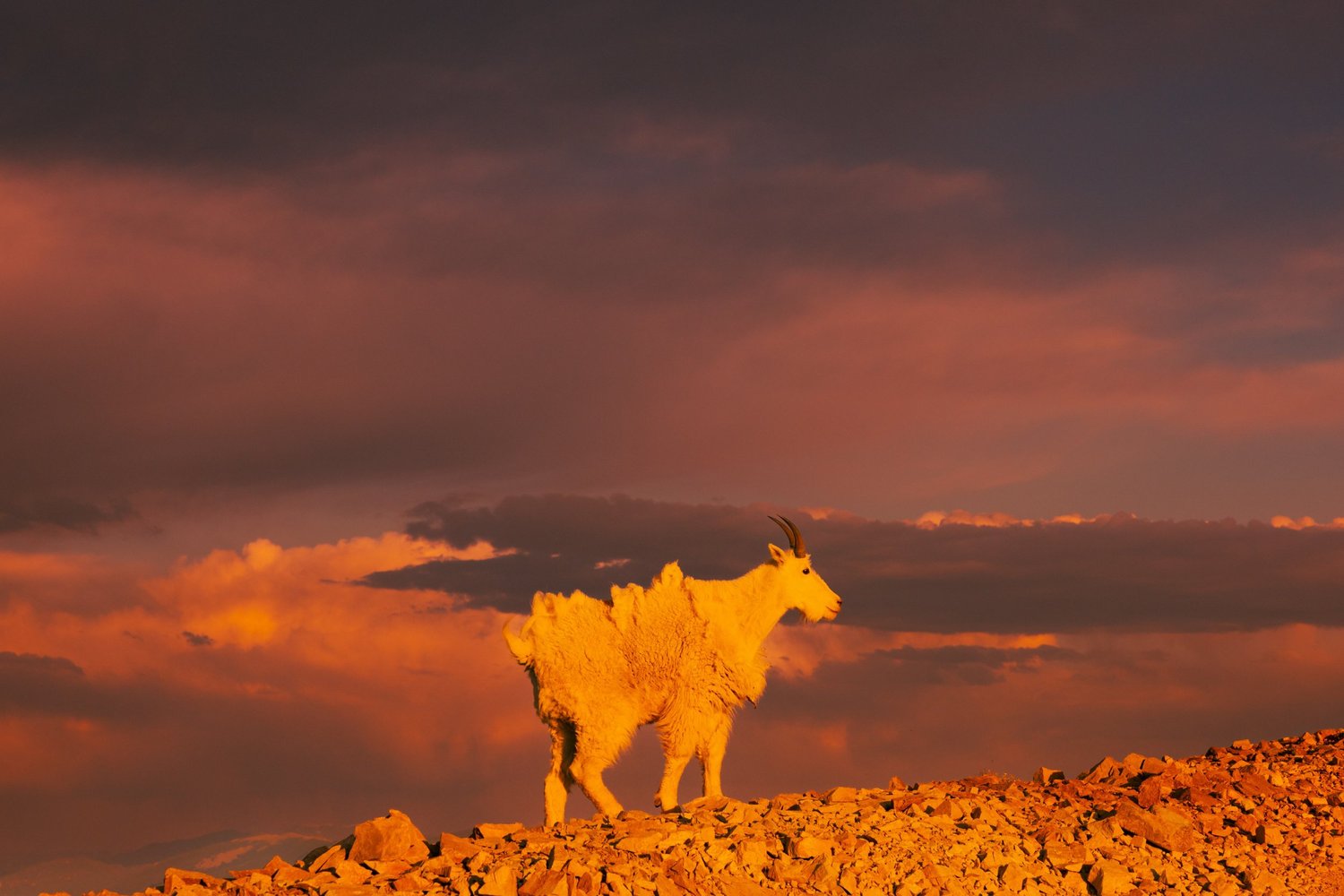 Earth photography